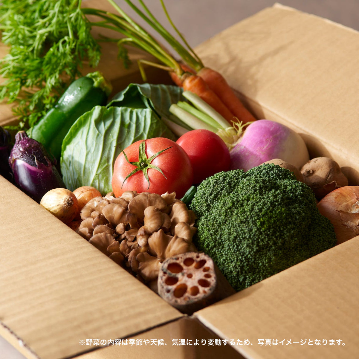 期間限定販売【オーブンポット2 BECCIU.Limited】野菜セットのみ