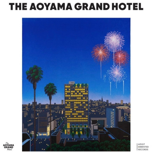 NAGAI HIROSHI × AGH×ADULT ORIENTED RECORDS オリジナルレコード